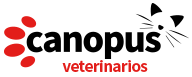 Dermatolog&iacute;a Veterinaria en Sevilla