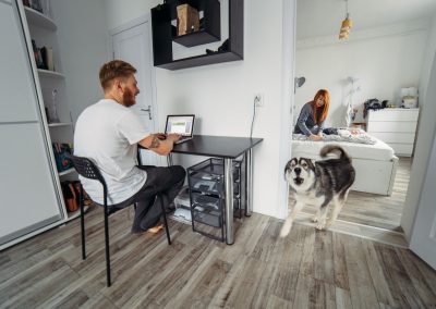 intalaciones-dermatologia-veterinaria-canopus-sevilla