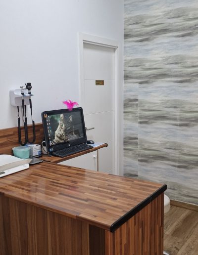 intalaciones-dermatologia-veterinaria-canopus-sevilla