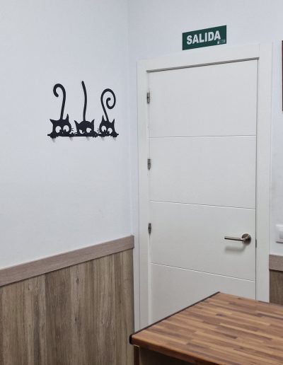 intalaciones-dermatologia-veterinaria-canopus-sevilla